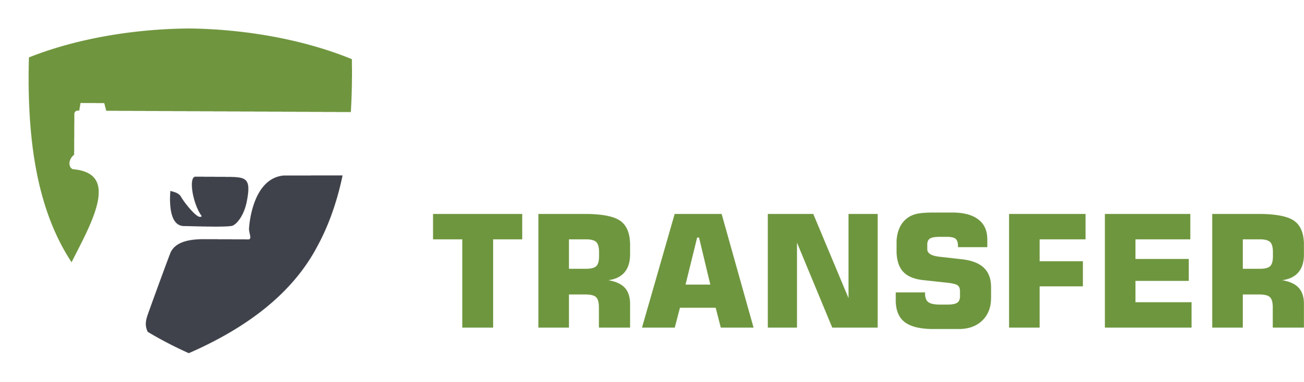 Gun Transfer